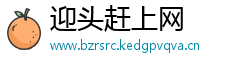 迎头赶上网
